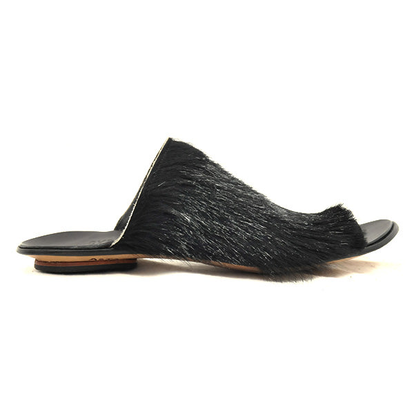 D) Asia - Size 37