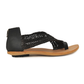 Felis Stock