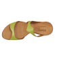 F) Insect - Size 38